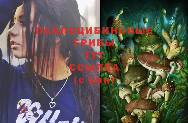 ПСИЛОЦИБИНОВЫЕ ГРИБЫ Майский