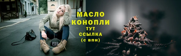 мдпв Магас