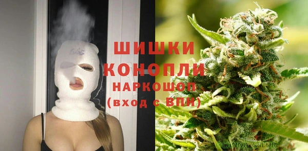 мдпв Магас