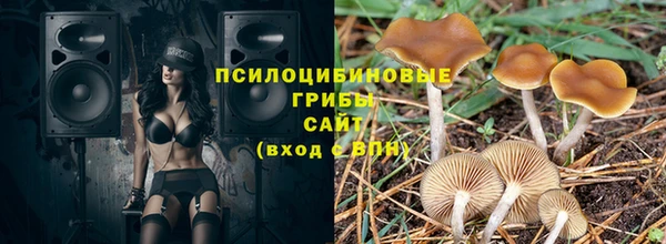 мдпв Магас