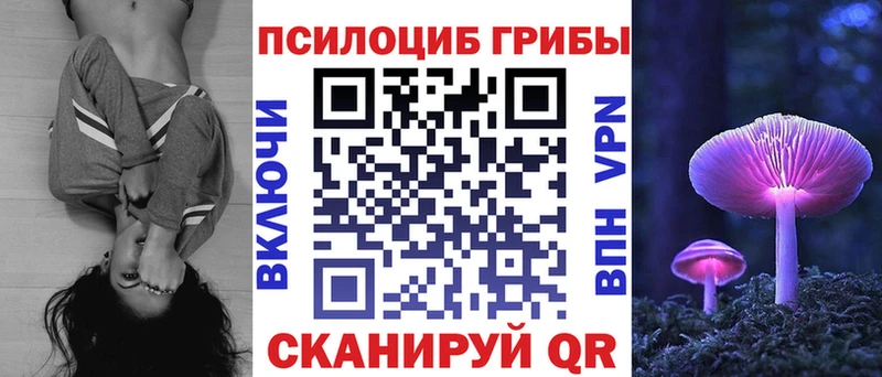 Галлюциногенные грибы MAGIC MUSHROOMS  Купить закладки  Щёлкино 